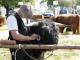 thumbnail 115 --7258.jpg